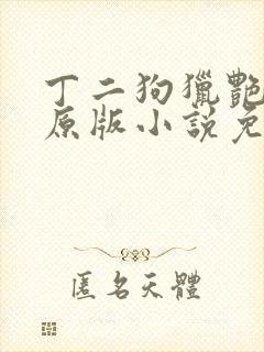 丁二狗猎艳人生原版小说免费阅读