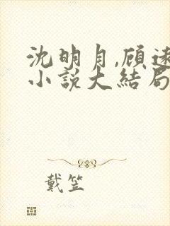 沈明月,顾远舟小说大结局封面