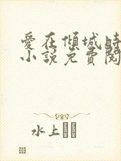 爱在倾城时光里小说免费阅读封面