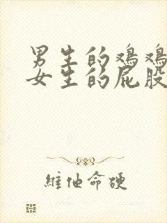 男生的鸡鸡插入女生的屁股.