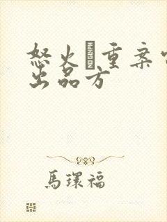 怒火·重案电影出品方