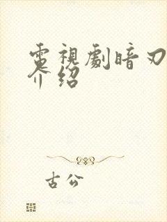 电视剧暗刃剧情介绍