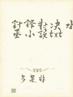 针锋对决 水千丞小说txt