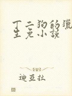 丁二狗的猎艳人生免小说