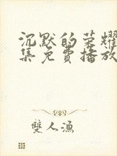 沉默的荣耀40集免费播放网站大全