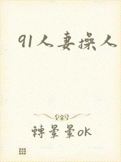 91人妻操人妻