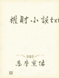 权财小说txt