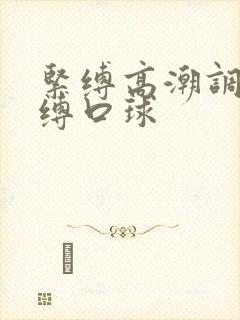 紧缚高潮调教束缚口球