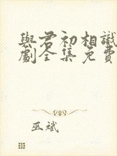 与君初相识电视剧全集免费播放