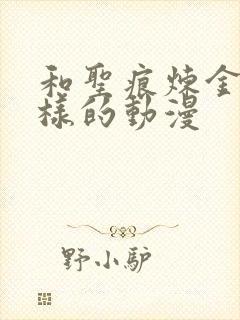 和圣痕炼金士一样的动漫