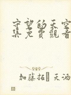 守望的天空30集免费观看全集