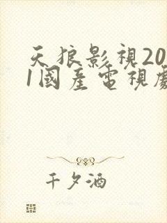 天狼影视2021国产电视剧
