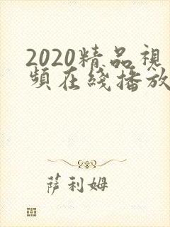 2020精品视频在线播放封面