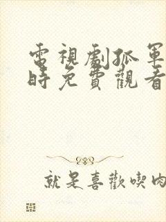 电视剧孤军十二时免费观看国语版