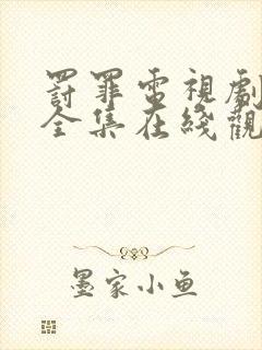 罚罪电视剧免费全集在线观看高清