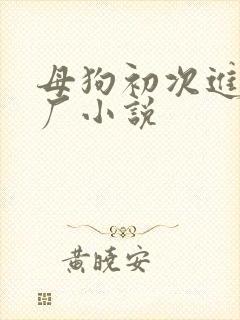 母狗初次进调教厂小说