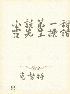 小说第一甜妻:霍先生撩错了