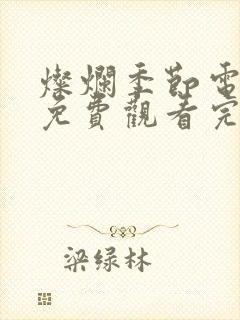 灿烂季节电视剧免费观看完整版高清下载