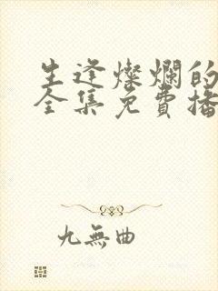 生逢灿烂的日子全集免费播放封面