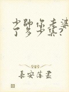 少帅你老婆又跑了多少集?