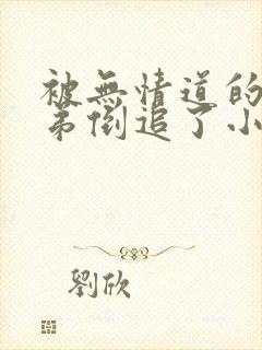 被无情道的小师弟倒追了小说免费阅读封面