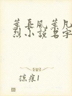 叶长风叶凡十忠烈小说名字封面