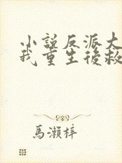 小说反派大佬让我重生后救他