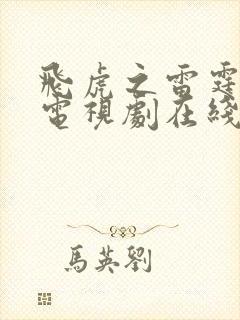 飞虎之雷霆极战电视剧在线播放