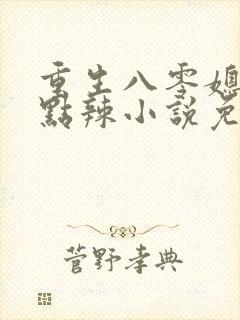 重生八零媳妇有点辣小说免费小说