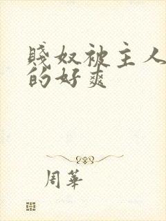 贱奴被主人调教的好爽