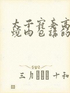 太子宠妾高肉红烧肉包讲的什么