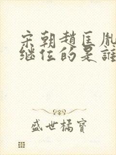 宋朝赵匡胤后代继位的是谁封面