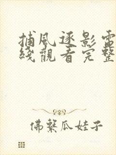 捕风逐影电影在线观看完整版免费观看高清