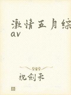 激情五月综合网av