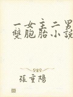 一女主二男主是双胞胎小说