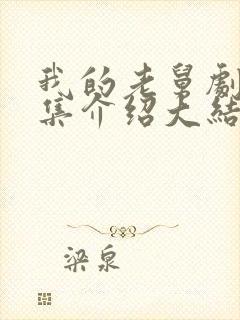 我的老舅剧情分集介绍大结局