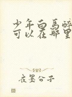 少年白马醉春风可以在哪里看