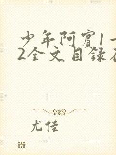 少年阿宾1一72全文目录在线封面