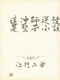 这冲师逆徒才不是圣子小说