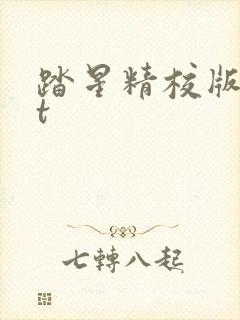 踏星精校版txt封面
