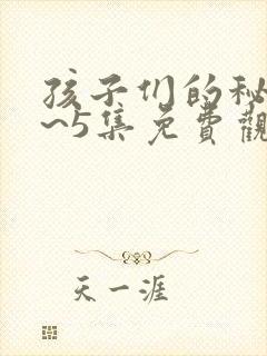 孩子们的秘密1~5集免费观看电视剧