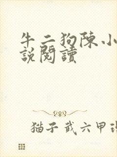 牛二狗陈小燕小说阅读封面