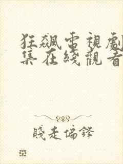 狂飙电视剧40集在线观看免费一