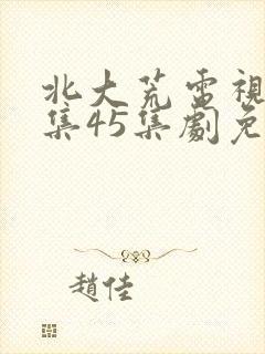 北大荒电视剧全集45集剧免费观看