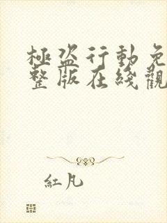 极盗行动免费完整版在线观看中文版