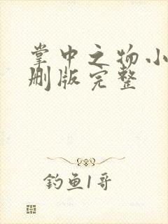 掌中之物小说未删版完整