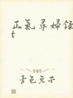 正气寻妇录txt封面