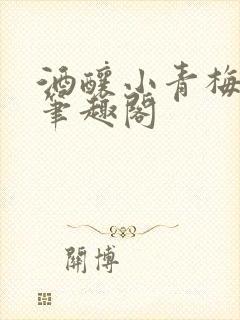 酒酿小青梅po笔趣阁
