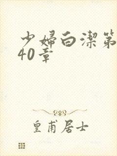 少妇白洁第1一40章封面