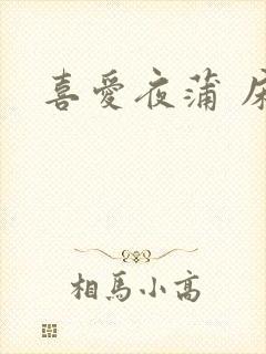 喜爱夜蒲 床戏
